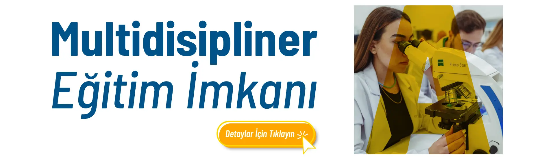 cift anadal ve yandal